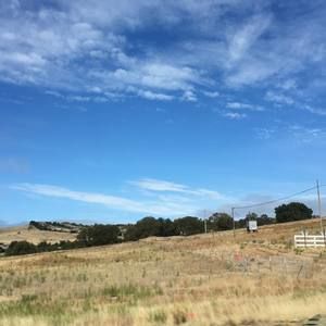 Meet your Posher, Noah